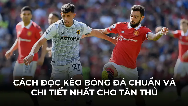 Cách Đọc Kèo Bóng Đá Chuẩn Và Chi Tiết Nhất Cho Tân Thủ