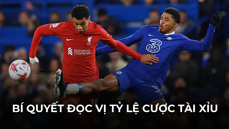 Bí quyết đọc vị tỷ lệ cược Tài Xỉu
