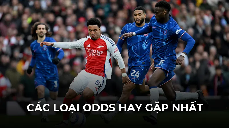 Các loại odds hay gặp nhất