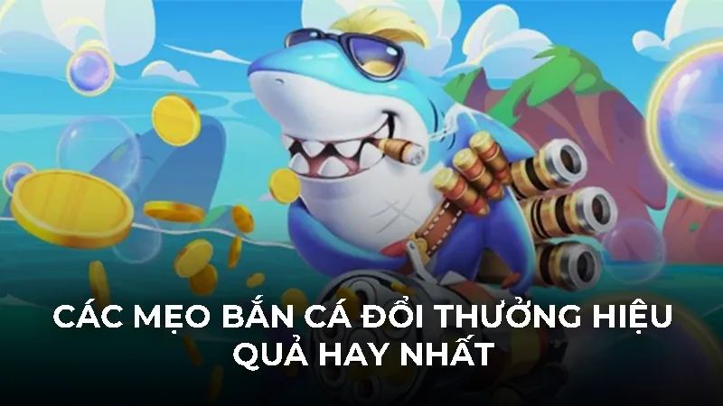 Các mẹo bắn cá đổi thưởng hiệu quả hay nhất