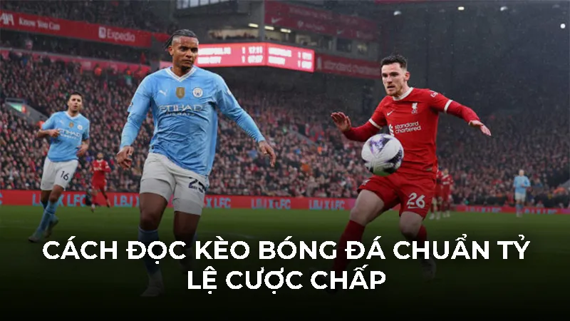 Cách đọc kèo bóng đá chuẩn tỷ lệ cược chấp
