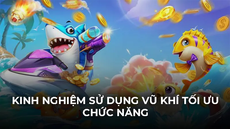 Kinh nghiệm sử dụng vũ khí tối ưu chức năng
